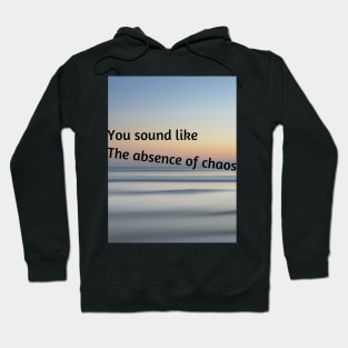 You sound like the absence of chaos Hoodie